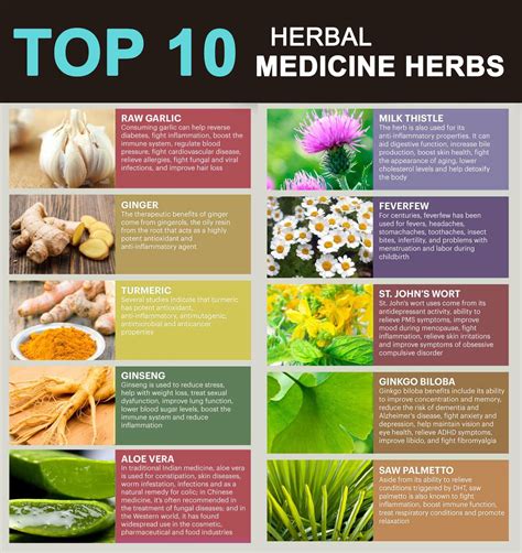 Top 10 Herbs Herbal Medicine Herbs That Can Be Consume Directly