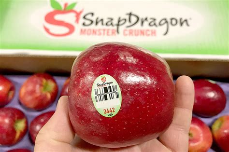 Snapdragon Apples Produce Geek