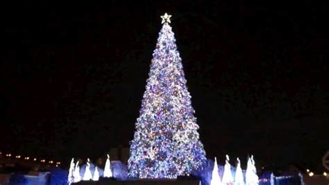 Worlds Best Christmas Tree Listed In The Guiness Book Of Records 2011