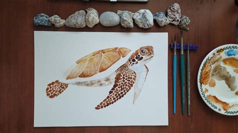 Simple Watercolor Techniques Illustrate And Paint A Lively Sea Turtle