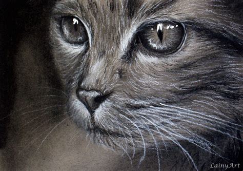 Custom Cat Drawing From Your Photo 8x10 Realistic Hand