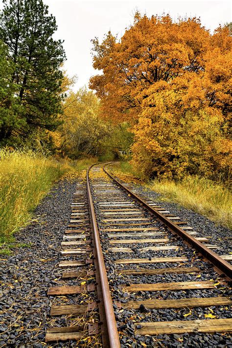 Autumn Rails Photograph By David Patterson Fine Art America