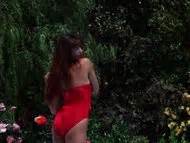 Nicolette Scorsese Nude Pics P Gina