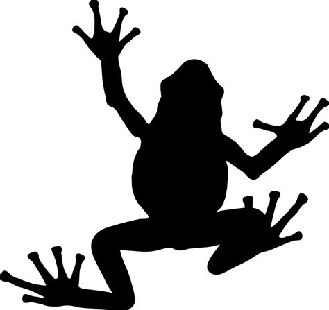 Frog Amphibian Animal Silhouette Free Svg Vector Cut File