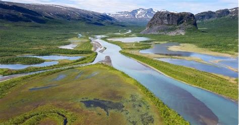 Swedish Lapland Is The Newest Ecological Restoration Target Of
