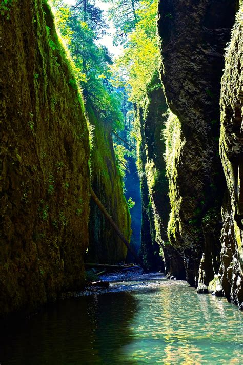 Expose Nature The Beautiful Oneonta Gorge Oregon 2912 × 4369 Oc