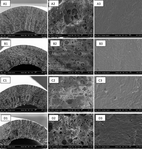 Fesem Morphology Of The Pvdf Hollow Fiber Membranes A Without Mmt