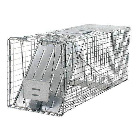 Raccoons are very fond of cat food. Havahart Large 1-Door Live Animal Cage Trap-1079 - The ...