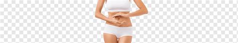 Tracto Gastrointestinal Sistema Digestivo Humano Enfermedad The Best Porn Website