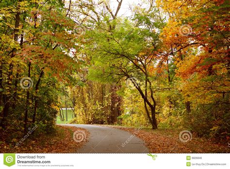 Autumn Scenery Stock Photo Image Of Mythical Peace Golden 6826846