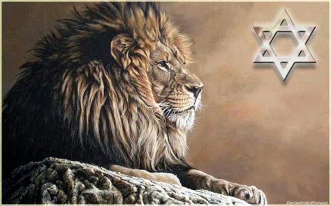Lion Of Judah Sonship Pinterest Christian Inspiration Bible And