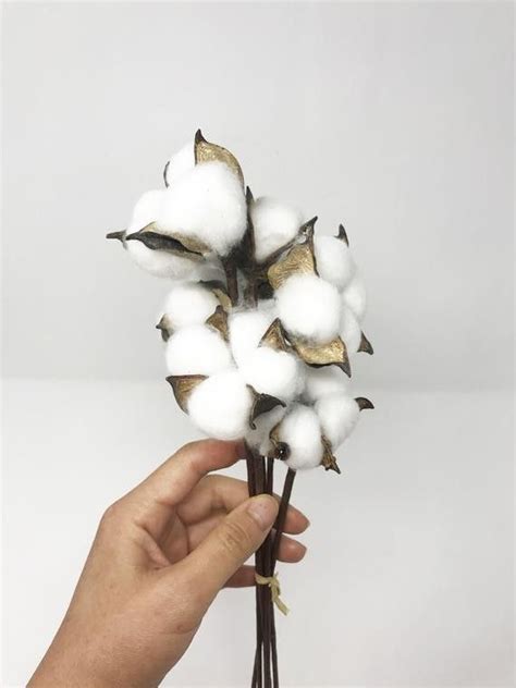 Etsy 10 Pcs Of Dried Cotton Flowers Cotton Balls Cotton Dried Cotton