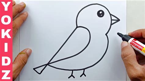 How To Draw A Bird Easy Youtube