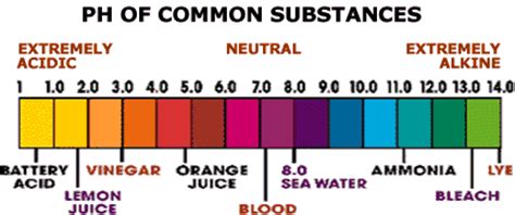 When acid is diluted from ph 1 to ph 2, there is ten times reduction in the concentration of protons in the solution. PurePro® USA Alkaline Filter - Why drink alkalized water