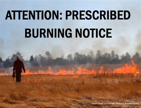 Prescribed Burning In Mercer County Today And Other Areas Midjerseynews