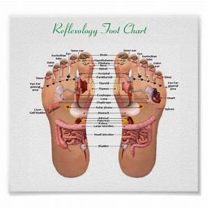 Foot Reflexology Poster Reflexology Foot Chart Reflexology 