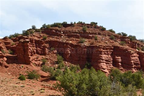 Driving Along Jemez Mountain National Scenic Byway In New Mexico Stock