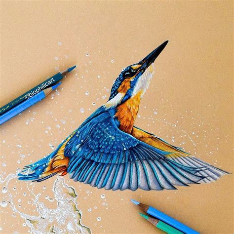 Animals Drawing Pictures In Colour