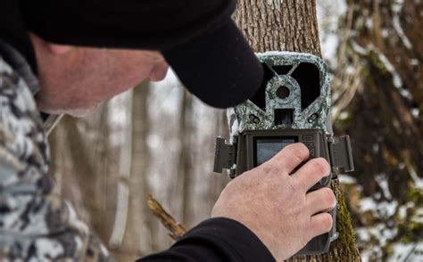 Low Impact Trail Cam Strategies Whitetail Habitat Solutions