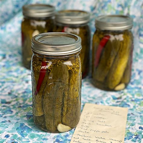 Fermented Garlic Dill Pickle Recipe Besto Blog