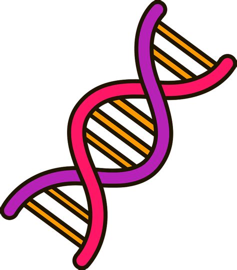 Dna Png Clipart Picture Dna Clipart Transparent Png Full Size Images