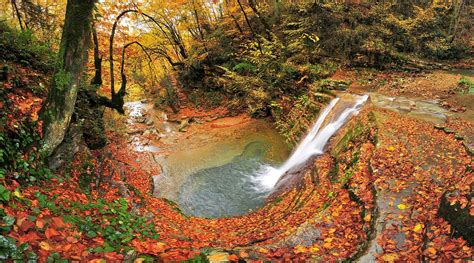 Erfelek Sinop Turkey Landscape Nature Beauty Amazing River Autumn Forest Wallpapers Hd