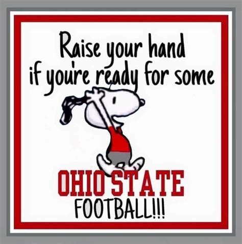 Pin By Jan Bell On Osu And Cartoon Characters Ohio State Buckeyes