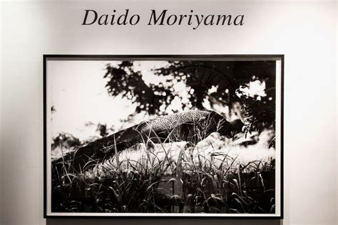 A Look Inside the New Daidō Moriyama Exhibit in London Exhibition