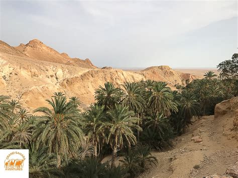 Circuit Desert En 4x4 De Djerba à Tozeur Grand Sahara Aventures