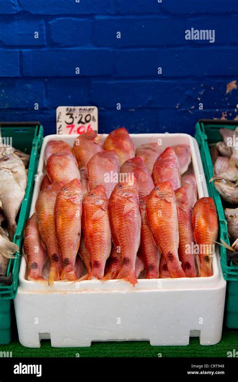 Fish Counter At Brixton Village Brixton Market Stock Photo Alamy