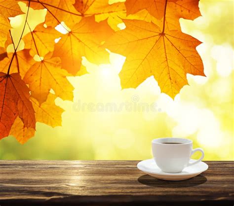 Cup Of Coffee And Autumn Leaves Stock Image Image Of Blur Maple