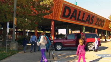 Dallas Zoo To Furlough Staff Close Fair Park Aquarium Amid Money