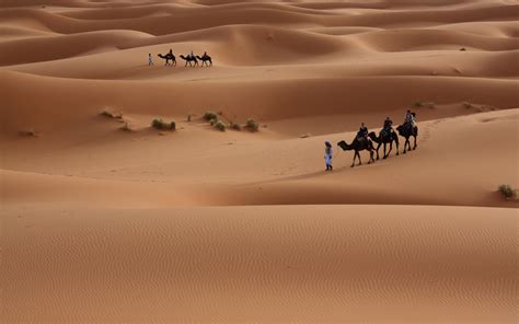 Nature Landscapes Desert Dune Sand People Travel Photography