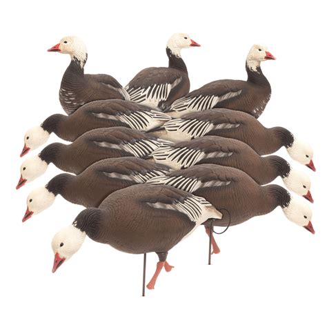 Goose Decoys – Dave Smith Decoys