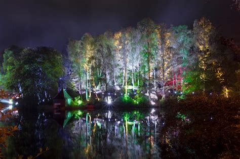 The Enchanted Forest Puts Visitors Under A Spell Scotsusa