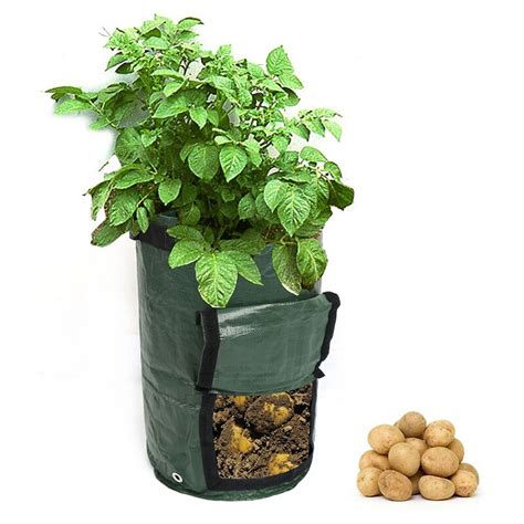 Buy Vegetable Planting Bags Grow Bag Farm Home Garden