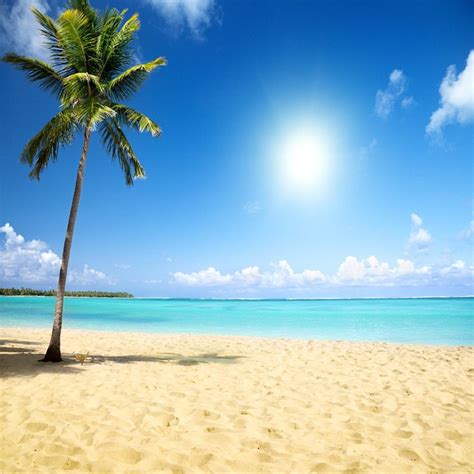 2019 Tropical Beach Themed Photo Backdrop Palm Tree Sandy Seaside