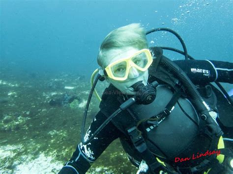 Philippines Marine Life Philippines Underwater Sea