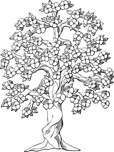 Tree Coloring Pages For Adults