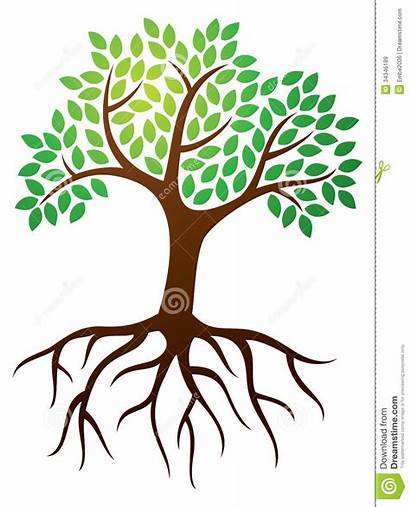 Roots Tree Clipart Trees Clipground