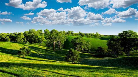 Hd Wallpaper Blue Sky White Clouds Green Grass Trees Desktop