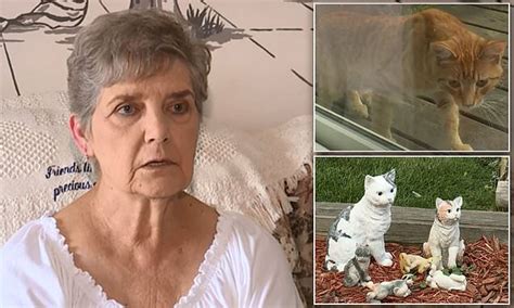 Ohio Woman Is Sentenced To TEN Days In Jail For Feeding Stray Cats