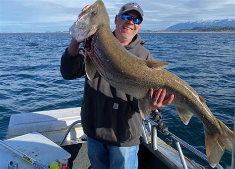 Mountain Lions Lethally Removed From A Flathead Lake Island