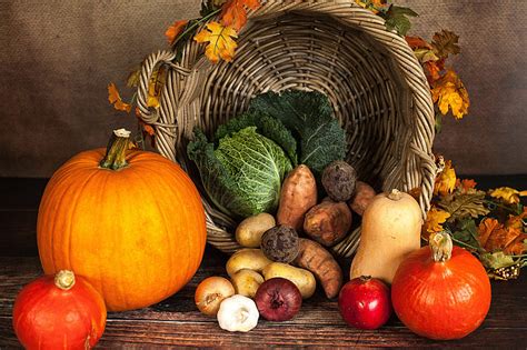 Royalty Free Photo Pumpkins And Autumn Vegetables Pickpik