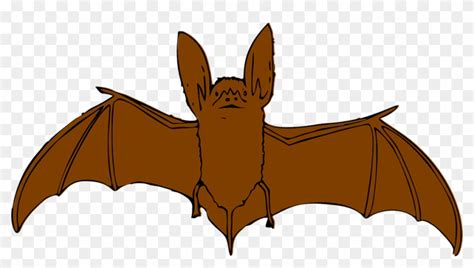 Animal Clipart Bat Brown Bat Clip Art Hd Png Download 960x499