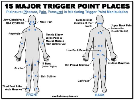 Hip Trigger Points Chart