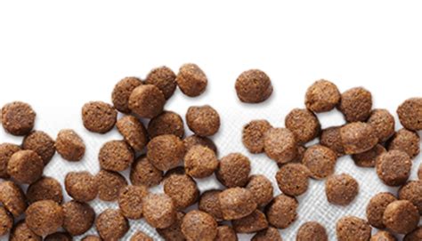 Fromm faced a recall a few years ago because their food had insufficient nutrition. Pet food recall: Sportmix dog and cat food recalled after ...