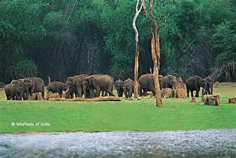 Complete List Of All Wildlife Sanctuaries Of Kerala India