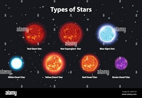 Types Of Star In Space Stock Vector Images Alamy