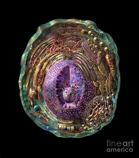 We did not find results for: animal-cell-russell-kightley.jpg (792×900) | Biology art ...